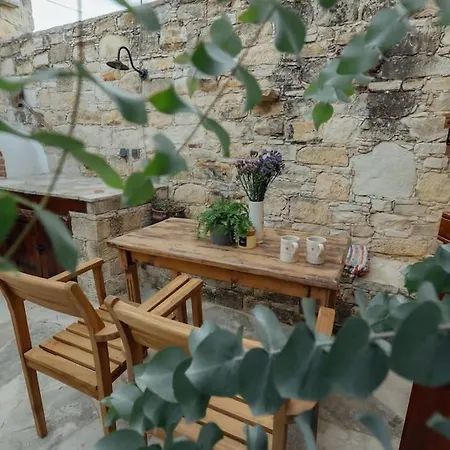 The Yard Traditional Vasa Kilaniou