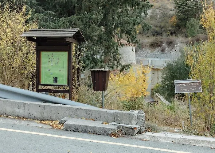 The Yard Traditional *